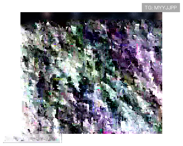 萨顿力挺凯恩称英格兰历史上鲜有球员能与其匹敌